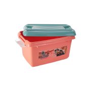 Sukhson India Plastic BPA Free Multipurposes with Lid Storage Basket (Pack of 2) | Orange
